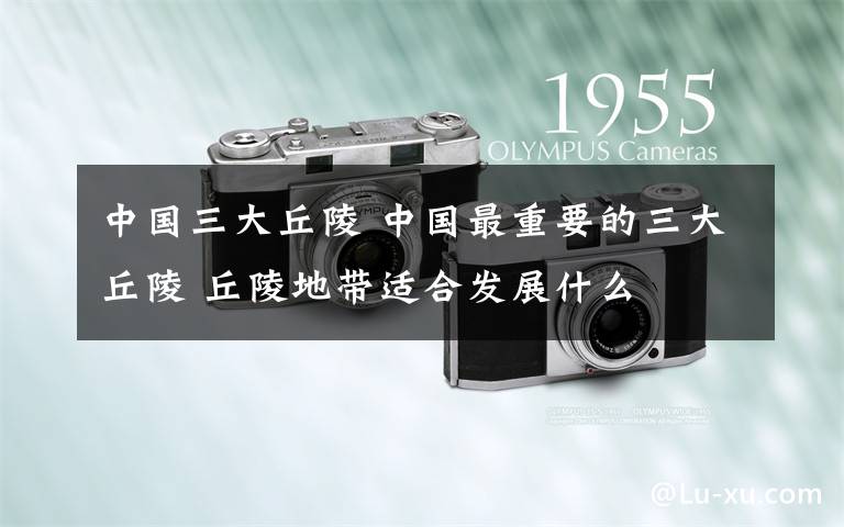 中国三大丘陵 中国最重要的三大丘陵 丘陵地带适合发展什么