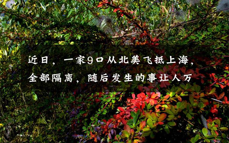 近日，一家9口从北美飞抵上海，全部隔离，随后发生的事让人万万没想到。