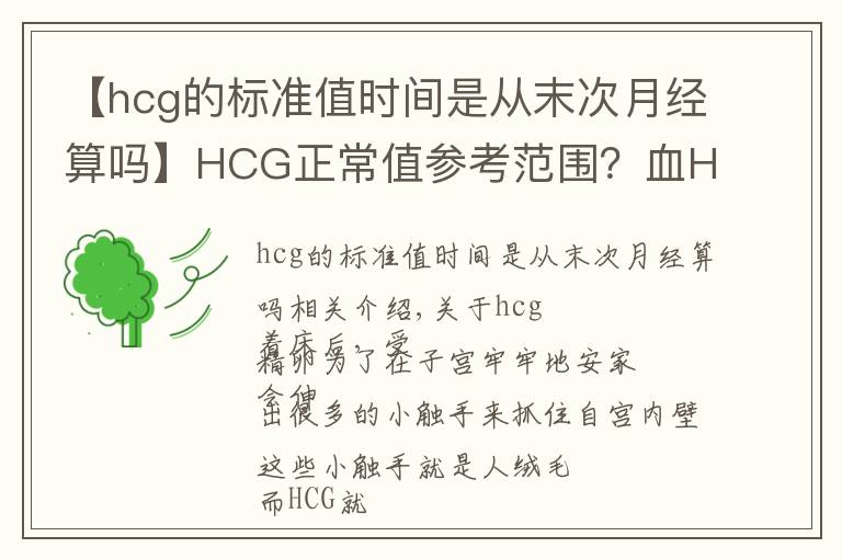 【hcg的标准值时间是从末次月经算吗】HCG正常值参考范围?血HCG与尿HCG有什么不同呢?