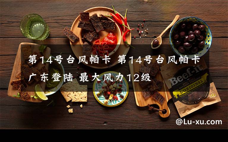 第14号台风帕卡 第14号台风帕卡广东登陆 最大风力12级