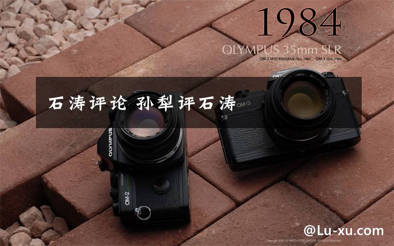 石涛评论 孙犁评石涛