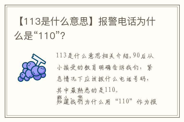 【113是什么意思】报警电话为什么是“110”?