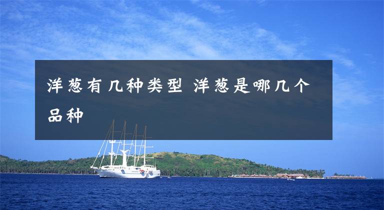 洋葱有几种类型 洋葱是哪几个品种