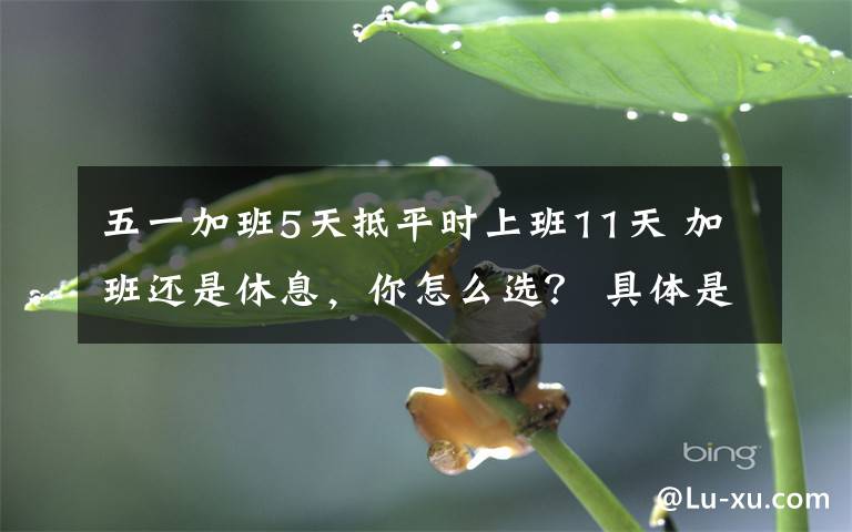 五一加班5天抵平时上班11天 加班还是休息,你怎么选? 具体是啥情况?