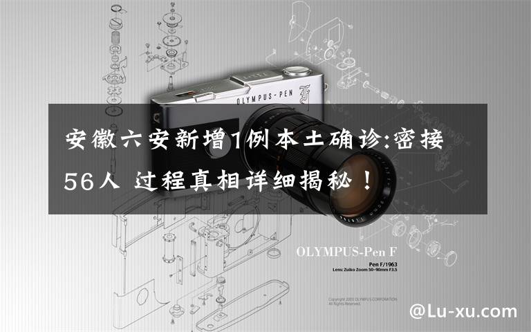 安徽六安新增1例本土确诊:密接56人 过程真相详细揭秘！