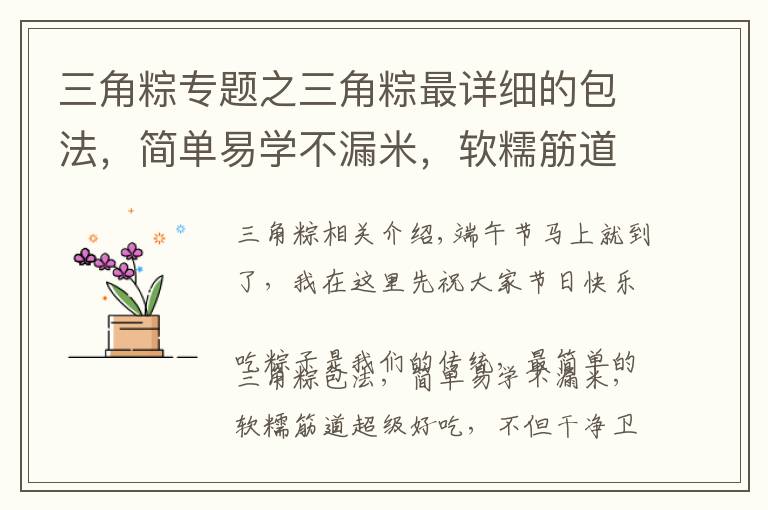 三角粽专题之三角粽最详细的包法,简单易学不漏米,软糯筋道超好吃,看看就会