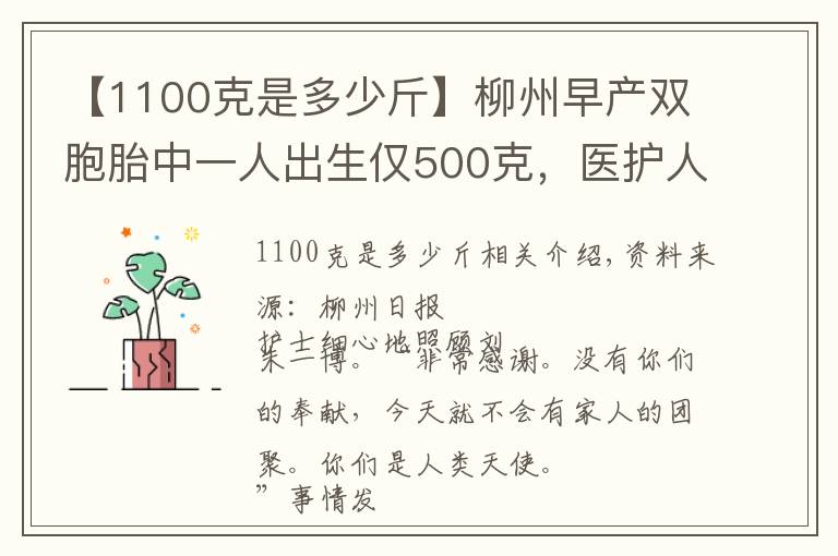 【1100克是多少斤】柳州早产双胞胎中一人出生仅500克,医护人员全力救护生命