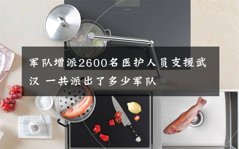 军队增派2600名医护人员支援武汉 一共派出了多少军队