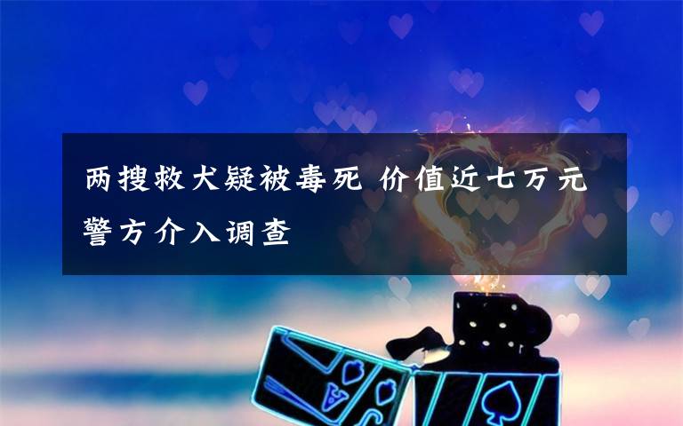 两搜救犬疑被毒死 价值近七万元警方介入调查