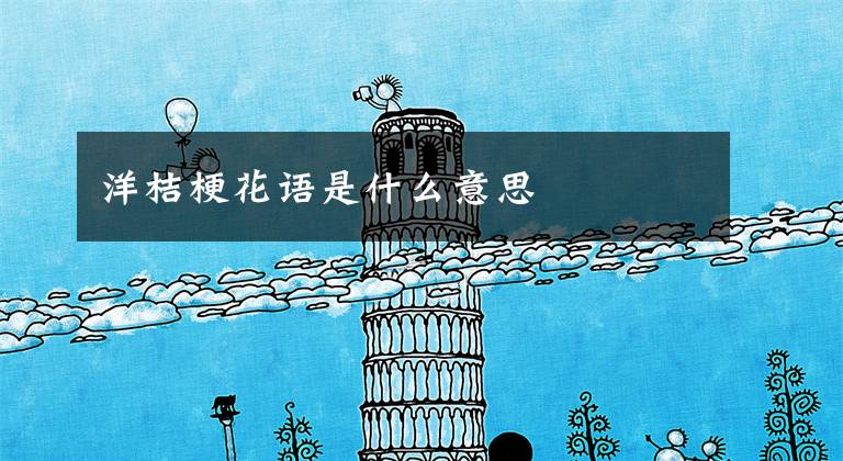 洋桔梗花语是什么意思