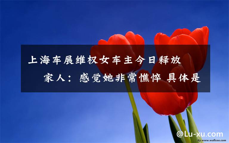 上海车展维权女车主今日释放   家人:感觉她非常憔悴 具体是啥情况?