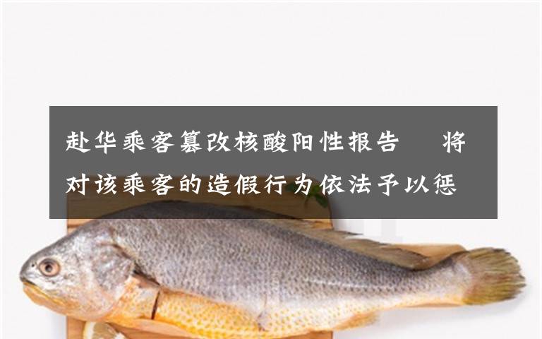 赴华乘客篡改核酸阳性报告  将对该乘客的造假行为依法予以惩处 到底是什么状况?