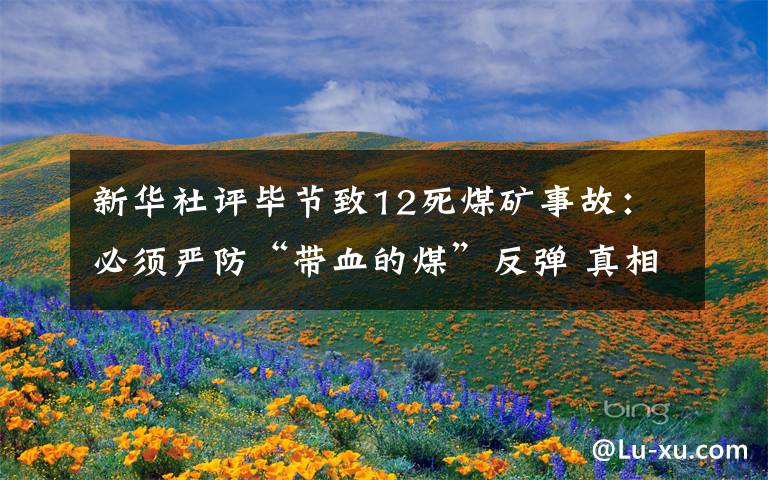 新华社评毕节致12死煤矿事故：必须严防“带血的煤”反弹 真相原来是这样！