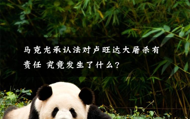 马克龙承认法对卢旺达大屠杀有责任 究竟发生了什么?