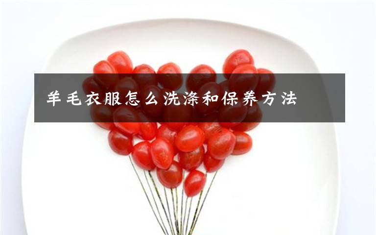 羊毛衣服怎么洗涤和保养方法