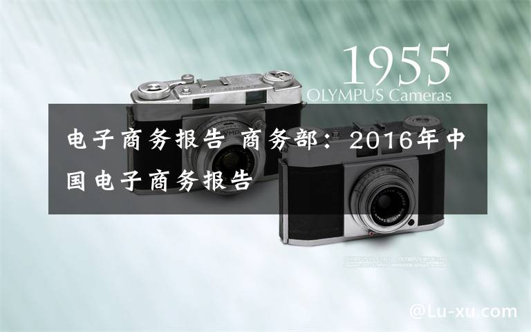 电子商务报告 商务部:2016年中国电子商务报告