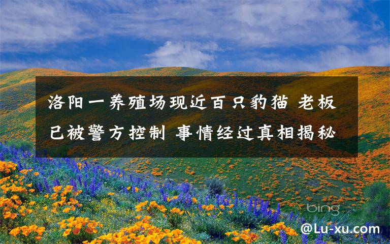 洛阳一养殖场现近百只豹猫 老板已被警方控制 事情经过真相揭秘!