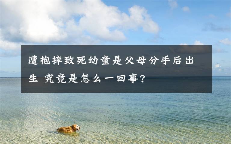 遭抱摔致死幼童是父母分手后出生 究竟是怎么一回事?