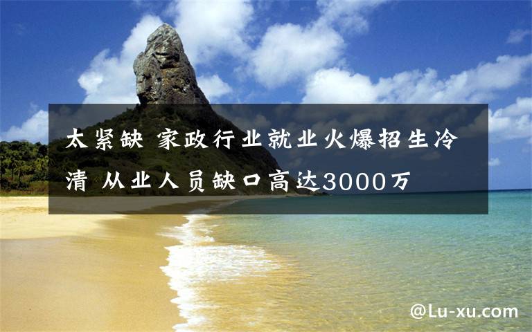 太紧缺 家政行业就业火爆招生冷清 从业人员缺口高达3000万