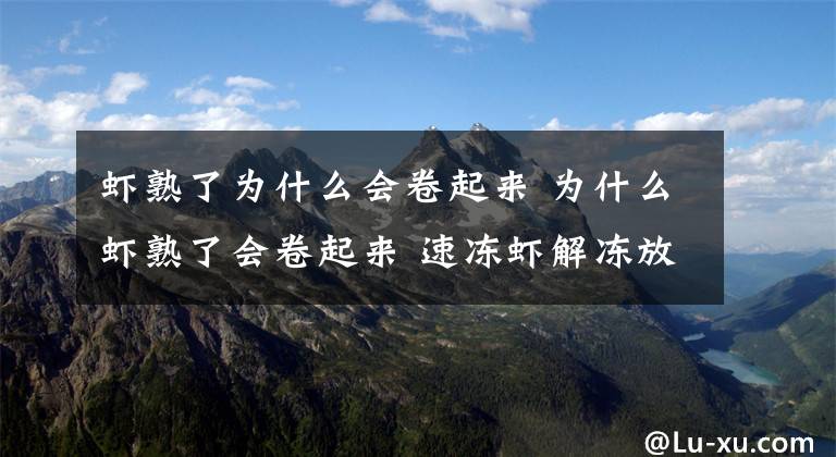 虾熟了为什么会卷起来 为什么虾熟了会卷起来 速冻虾解冻放一晚可以吃吗