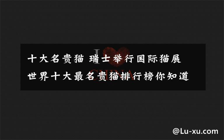 十大名贵猫 瑞士举行国际猫展 世界十大最名贵猫排行榜你知道几个?