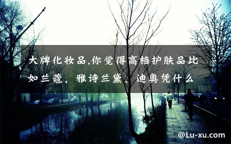 大牌化妆品,你觉得高档护肤品比如兰蔻,雅诗兰黛,迪奥凭什么卖这么贵?