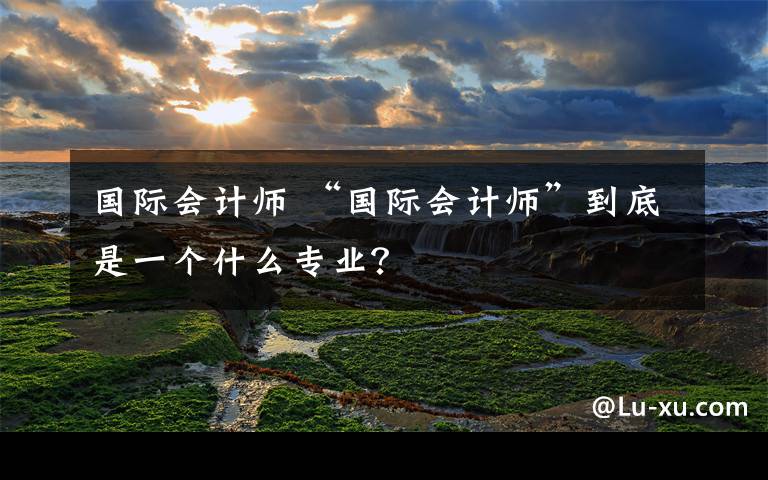 国际会计师 “国际会计师”到底是一个什么专业？