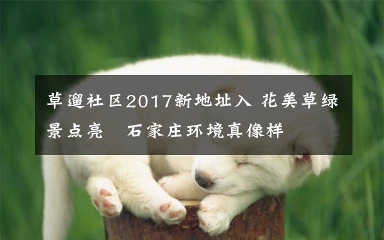 草遛社区2017新地址入 花美草绿景点亮 石家庄环境真像样