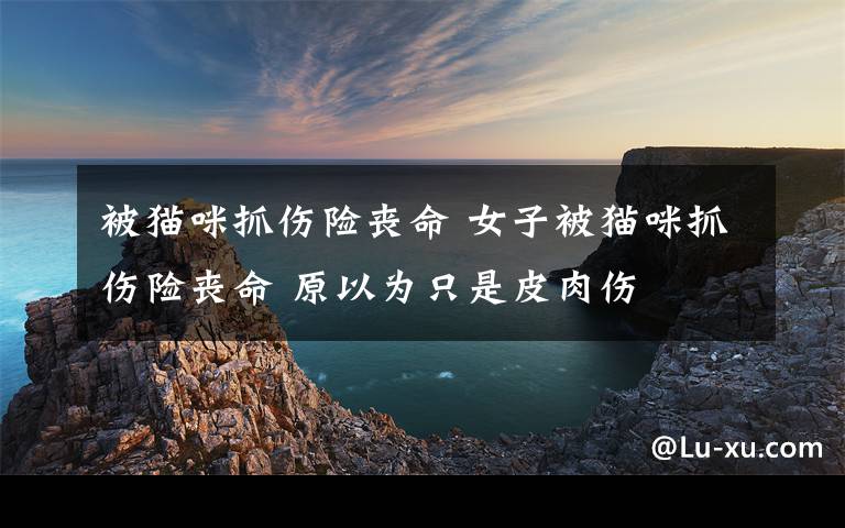 被猫咪抓伤险丧命 女子被猫咪抓伤险丧命 原以为只是皮肉伤
