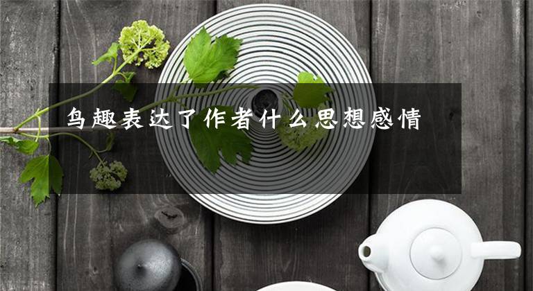 鸟趣表达了作者什么思想感情