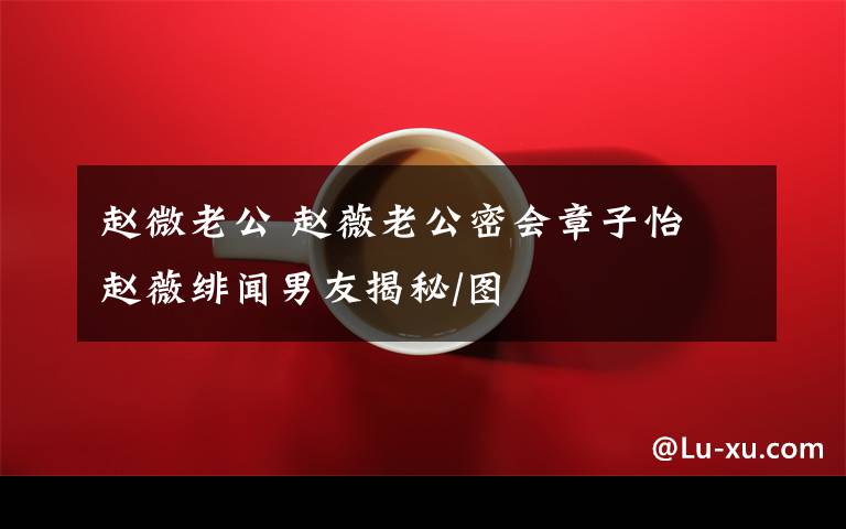 赵微老公 赵薇老公密会章子怡 赵薇绯闻男友揭秘/图