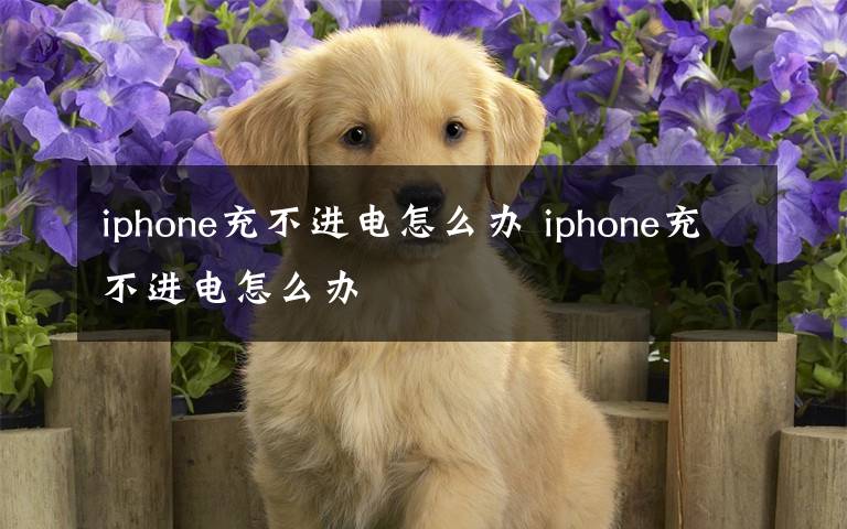 iphone充不进电怎么办 iphone充不进电怎么办
