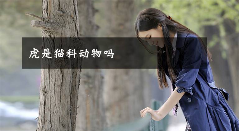 虎是猫科动物吗