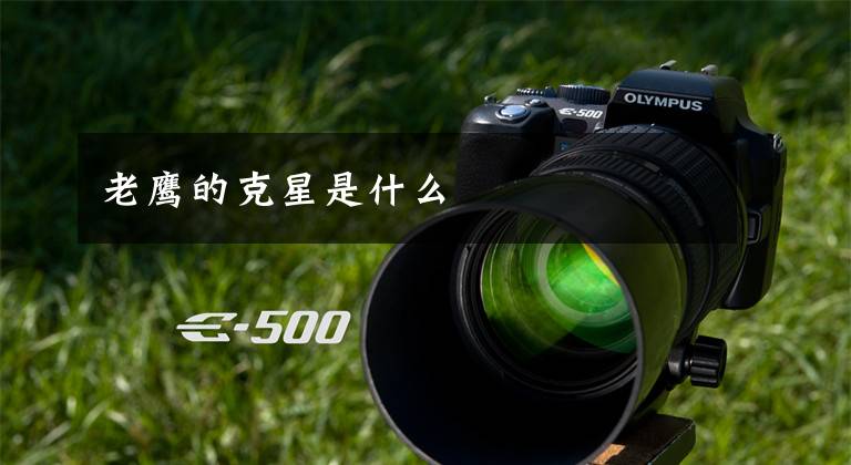 老鹰的克星是什么