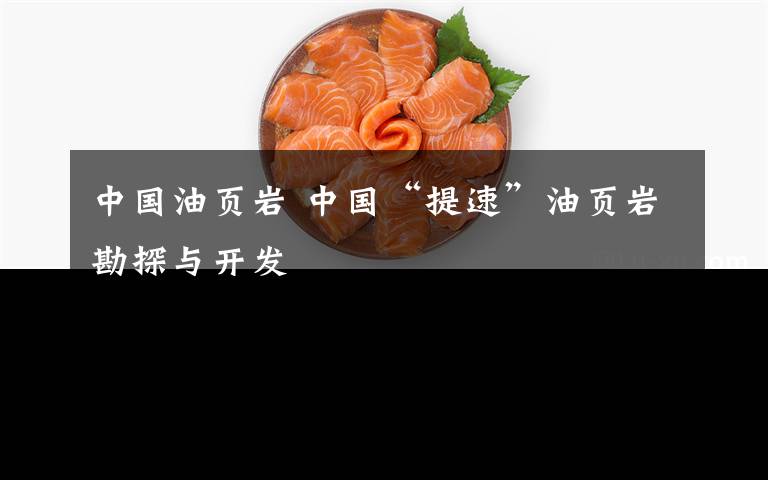 中国油页岩 中国“提速”油页岩勘探与开发