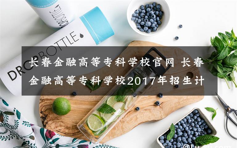 长春金融高等专科学校官网 长春金融高等专科学校2017年招生计划