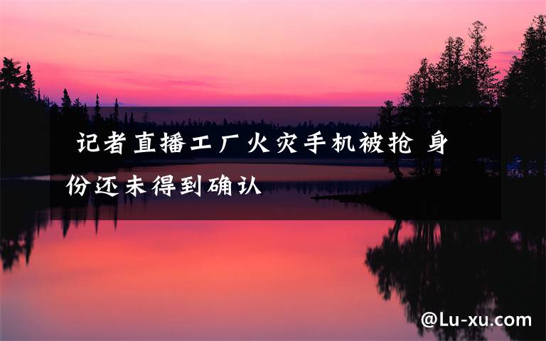 记者直播工厂火灾手机被抢 身份还未得到确认