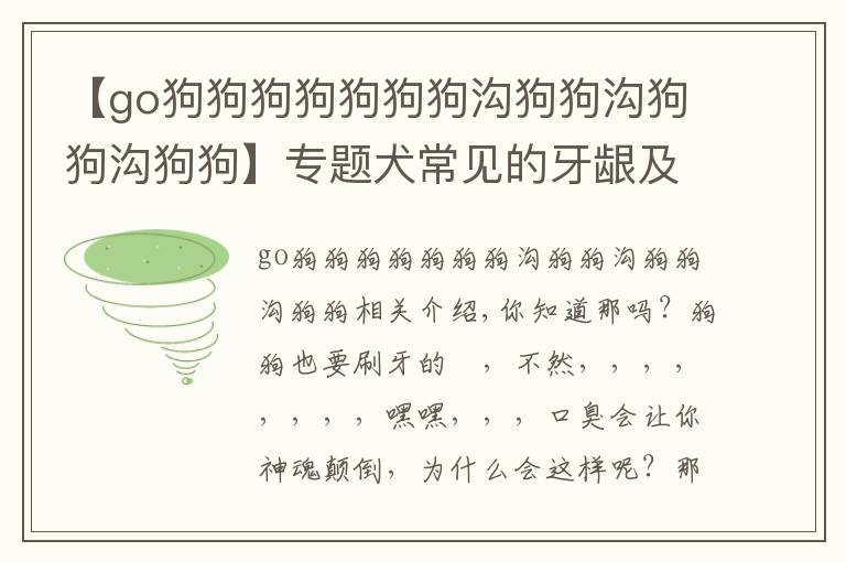 【go狗狗狗狗狗狗狗沟狗狗沟狗狗沟狗狗】专题犬常见的牙龈及口腔问题