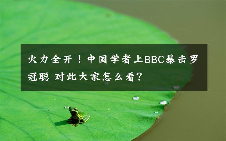 火力全开!中国学者上BBC暴击罗冠聪 对此大家怎么看?