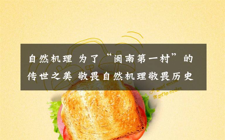 自然机理 为了“闽南第一村”的传世之美 敬畏自然机理敬畏历史文化