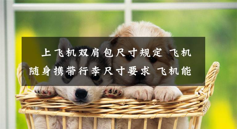 ​上飞机双肩包尺寸规定 飞机随身携带行李尺寸要求 飞机能带双肩包吗