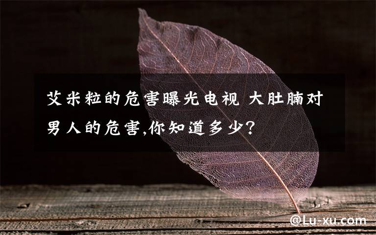 艾米粒的危害曝光电视 大肚腩对男人的危害,你知道多少?