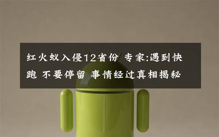 红火蚁入侵12省份 专家:遇到快跑 不要停留 事情经过真相揭秘!