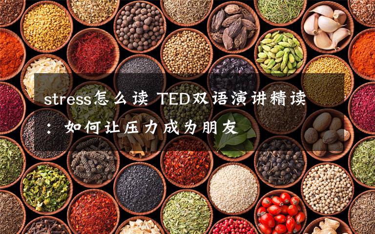 stress怎么读 TED双语演讲精读:如何让压力成为朋友