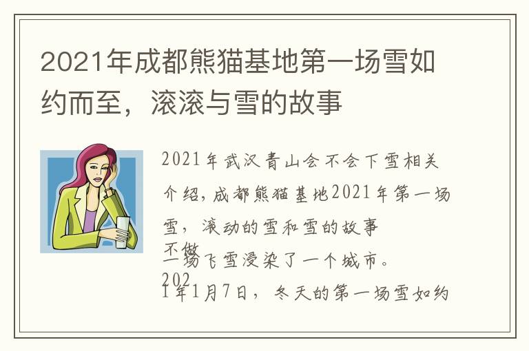 2021年成都熊猫基地第一场雪如约而至,滚滚与雪的故事