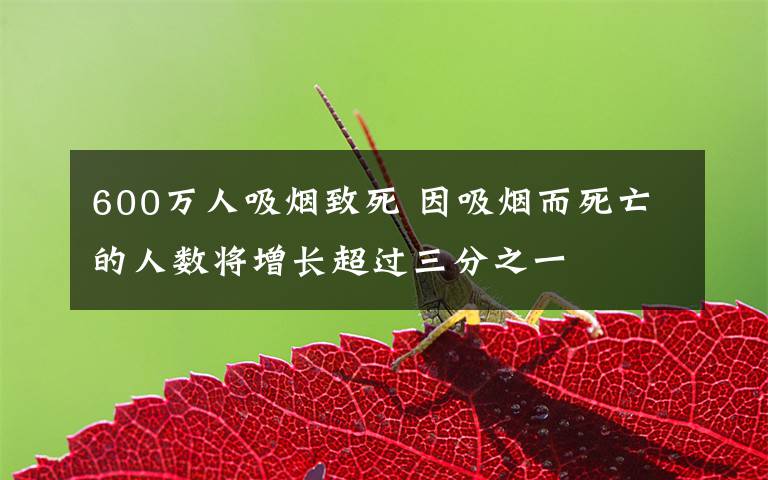 600万人吸烟致死 因吸烟而死亡的人数将增长超过三分之一