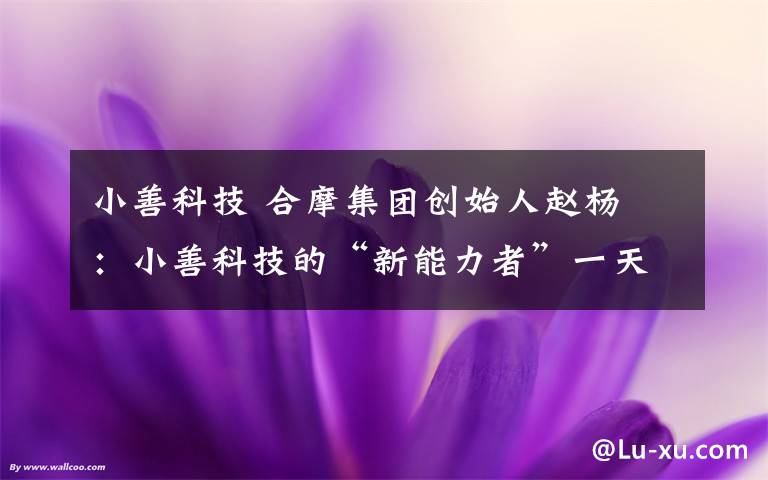 小善科技 合摩集团创始人赵杨晛：小善科技的“新能力者”一天能赚160元