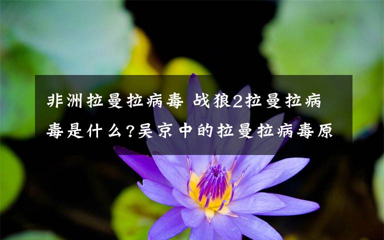 非洲拉曼拉病毒 战狼2拉曼拉病毒是什么?吴京中的拉曼拉病毒原型是什么【图解】