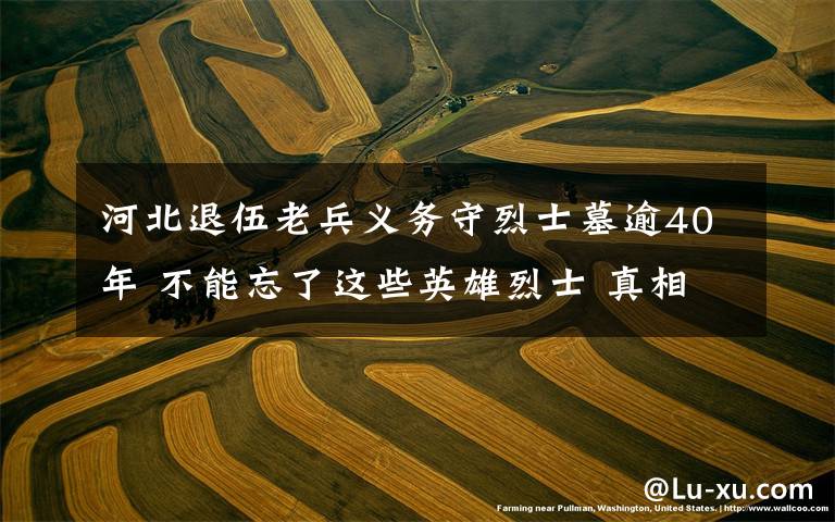 河北退伍老兵义务守烈士墓逾40年 不能忘了这些英雄烈士 真相到底是怎样的?