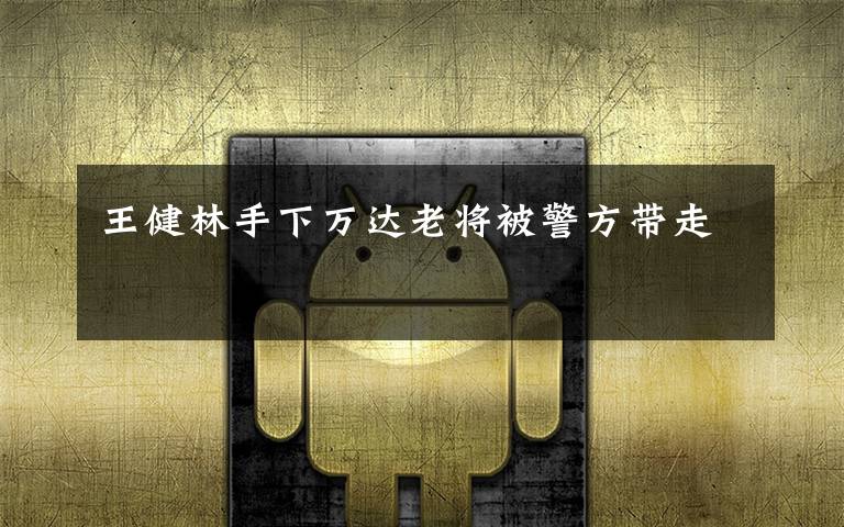 王健林手下万达老将被警方带走